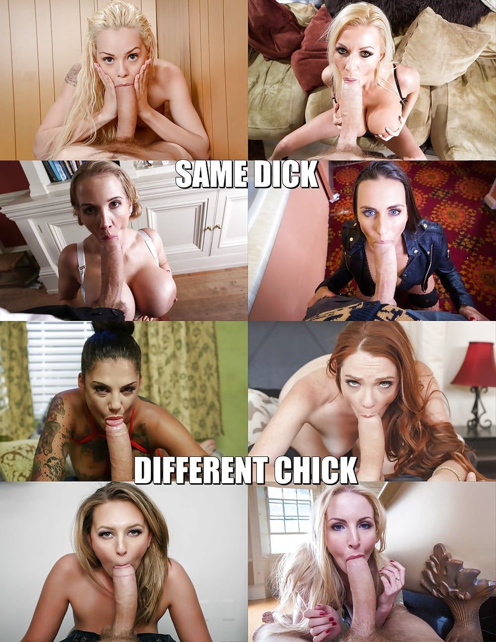 Same dick different chick