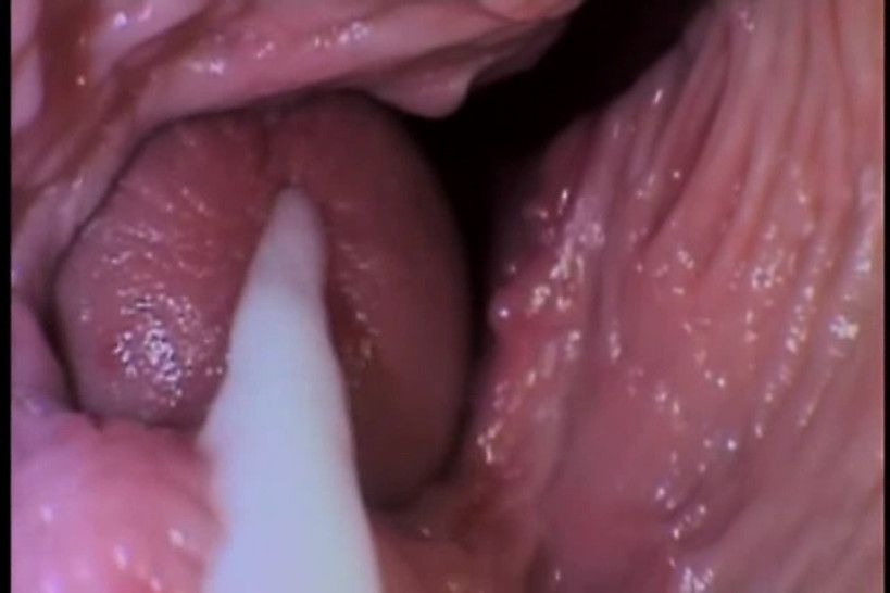 Pebble reccomend video inside vagina