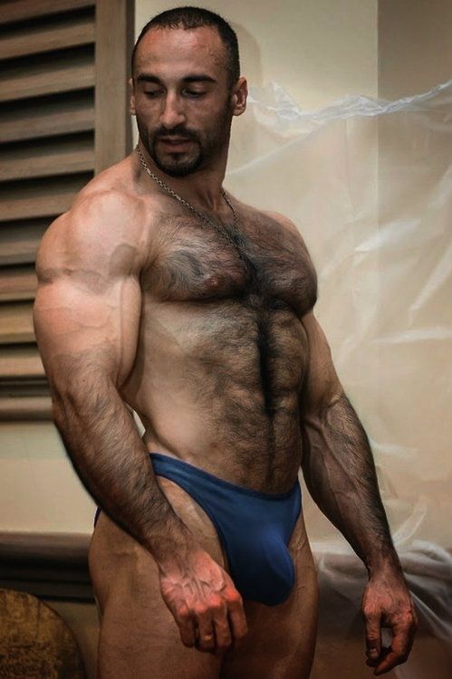 Muscular hairy guy