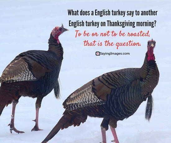 best of And Thanksgiving games jokes