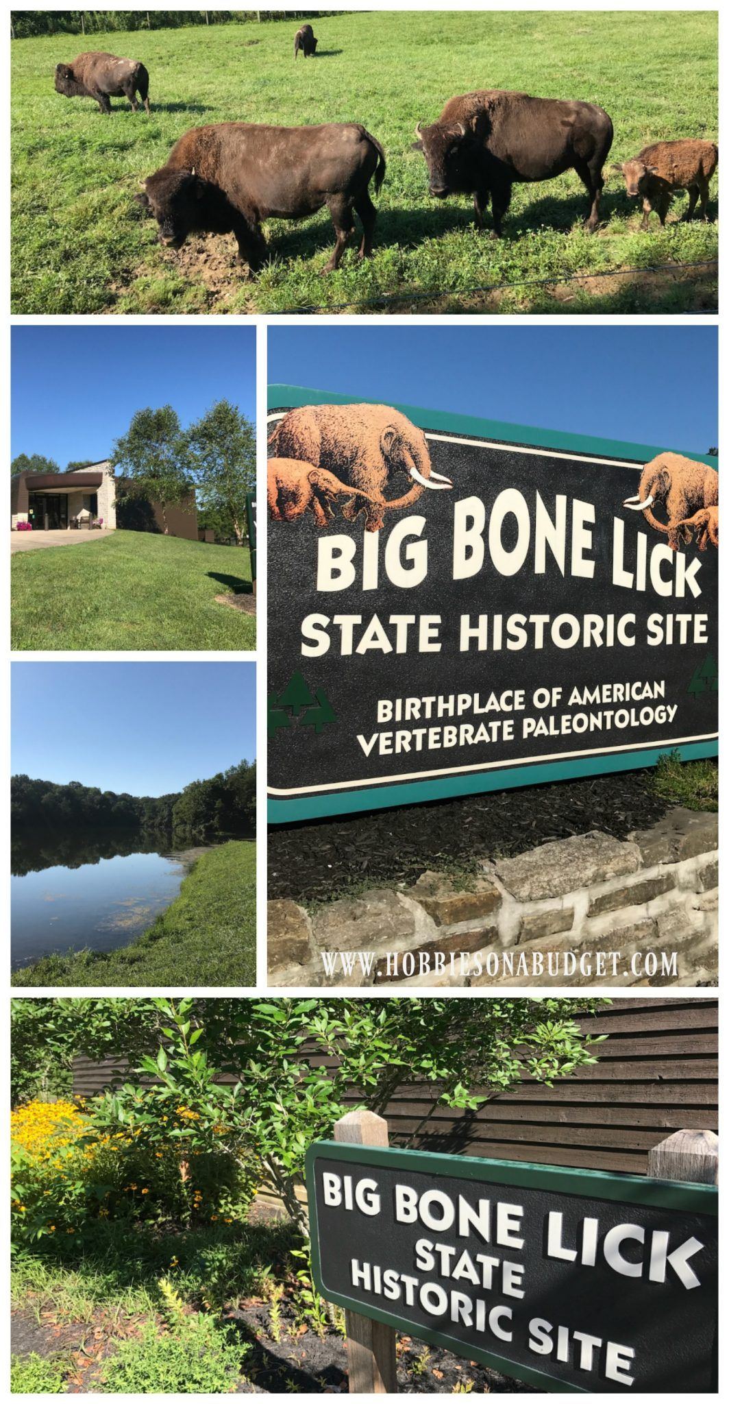 The S. reccomend Big bone lick park state