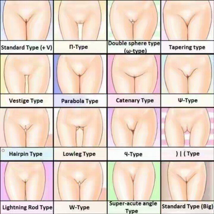 best of Types Different chart pussy