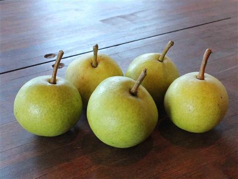 Relay reccomend Asian pear apple varieties