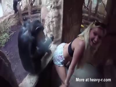 best of Chimp porn with Sex