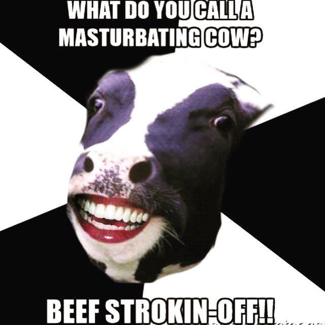 best of Jokes Cow beef