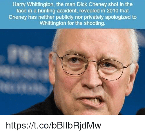 TigerвЂ™s E. reccomend Cheney dick funny shooting video