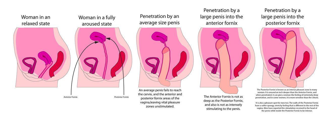 best of Positions penis penetration watch Sexual
