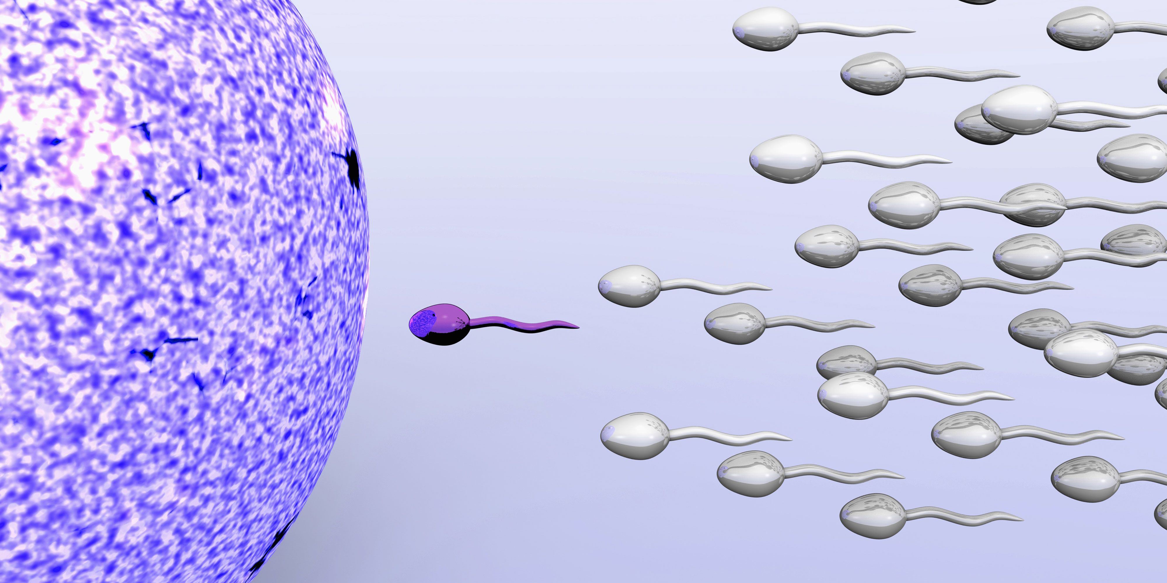 Rocket reccomend Why sperm coagulates