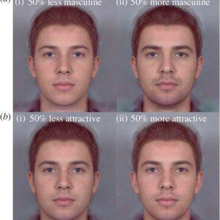Cosmos reccomend Facial attraction studies
