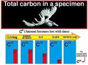 best of Far is carbon dating How accurate back