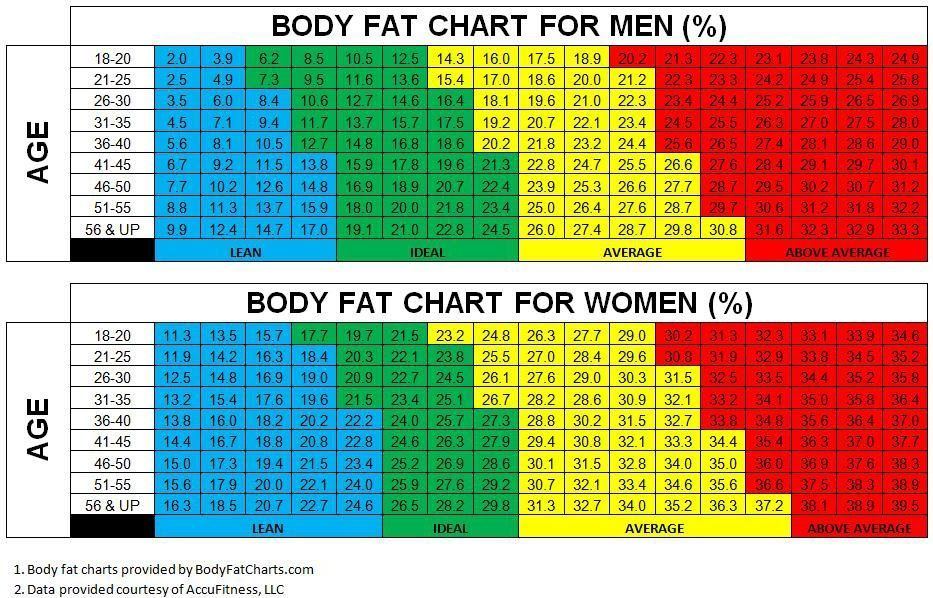 best of Chart percent Body fat