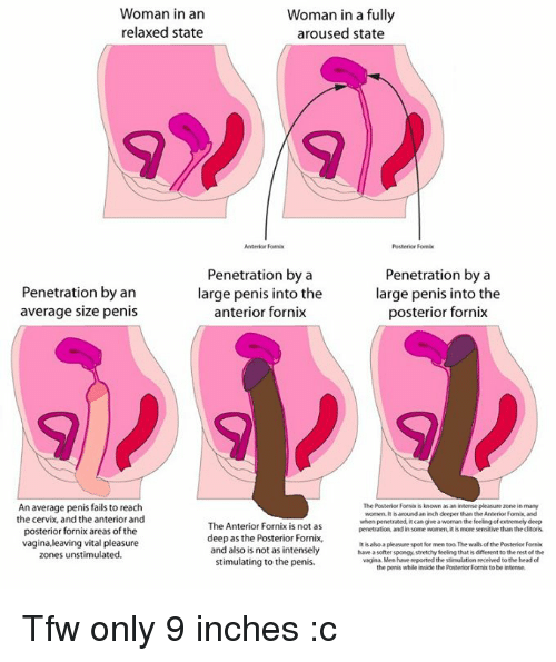 Princess P. recomended sex Cervical penetration