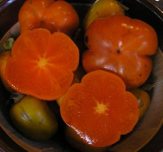 best of Production Asian persimmon