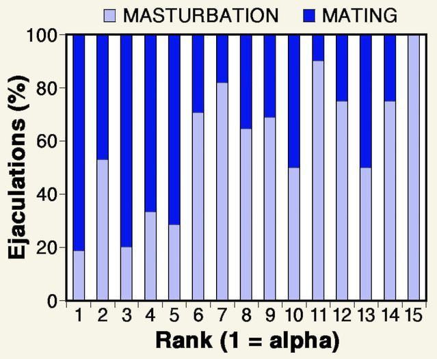 best of Vs growth Masturbation