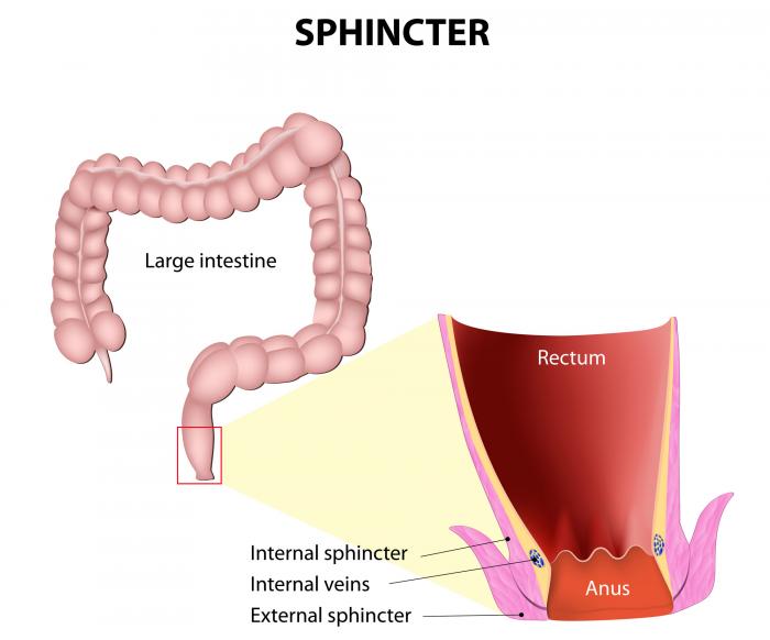 Treatment neurologic loss anal sphincter control