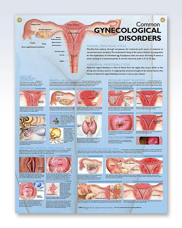 best of Vagina pics Abnormal anatomy