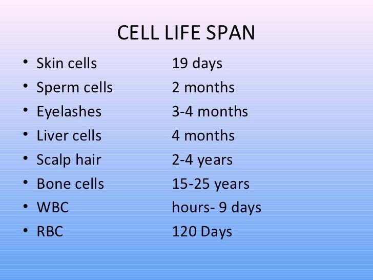 Trunk reccomend Cell life span sperm