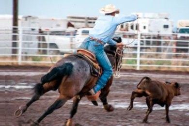 Amateur rodeo saddle cow riding