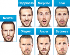 Facial expressions nonverbal