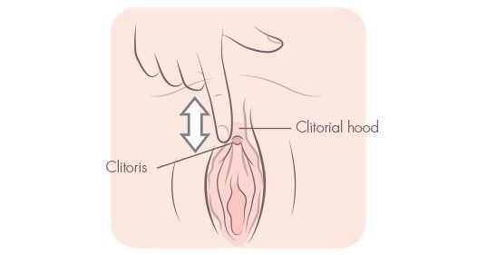Locating the clitoris