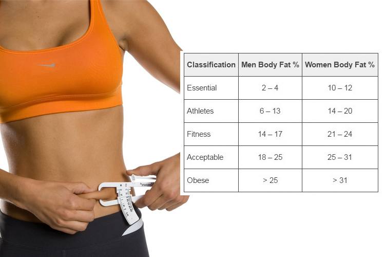 Bonbon reccomend Body fat percent chart