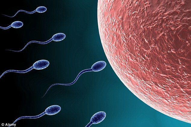 Human picture sperm