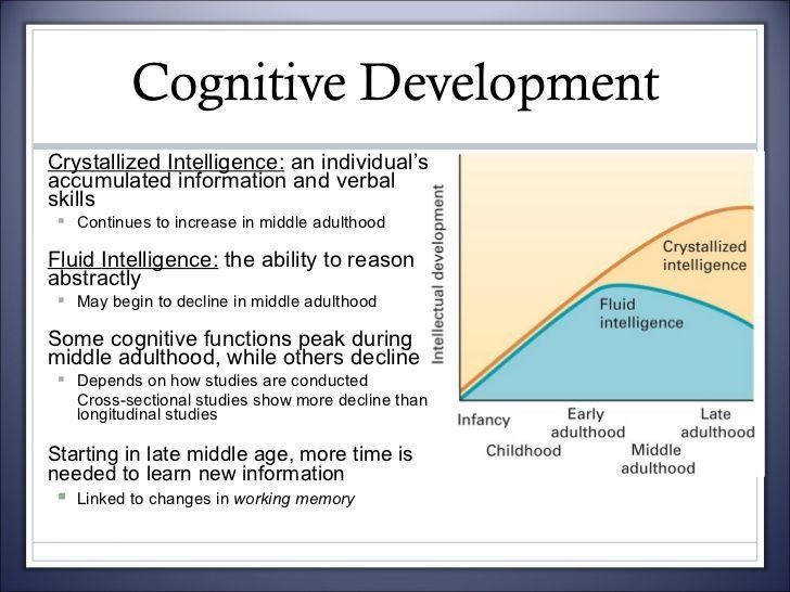 Lady L. recommend best of development adults Cognitive in