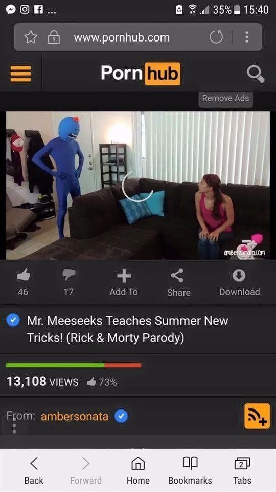 Mr. Meeseeks Teaches Summer New Tricks! (Rick Morty Parody)