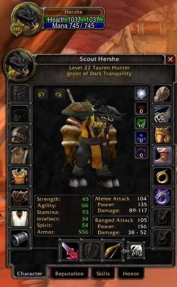 BBQ reccomend Warcraft 29 hunter twink gear