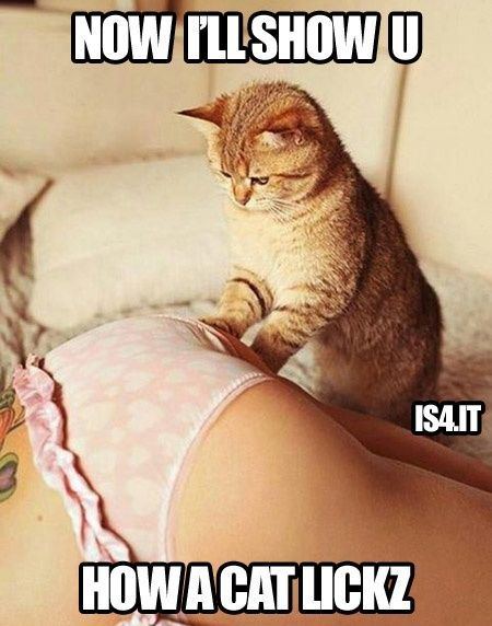 Funny pictures about eating pussy . New porn. Comments: 3