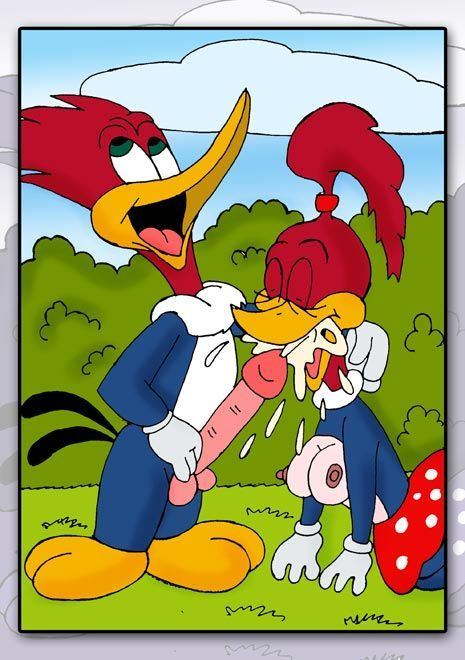 Red Z. reccomend Woody woodpecker porn