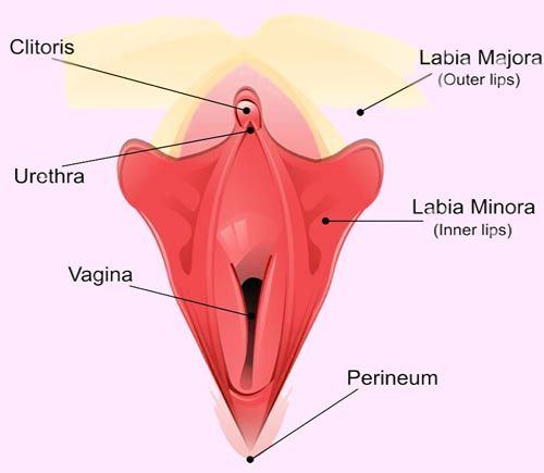 Orgasm clitoral penetration