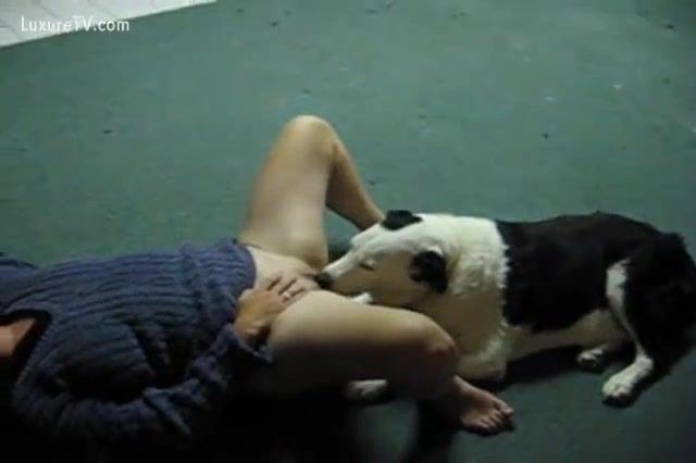 best of Dog Oral sex with