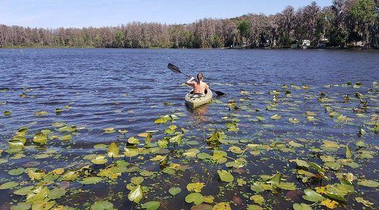 Florida nudist lake como picture
