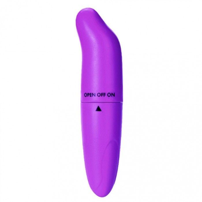 Purple dolphin vibrator