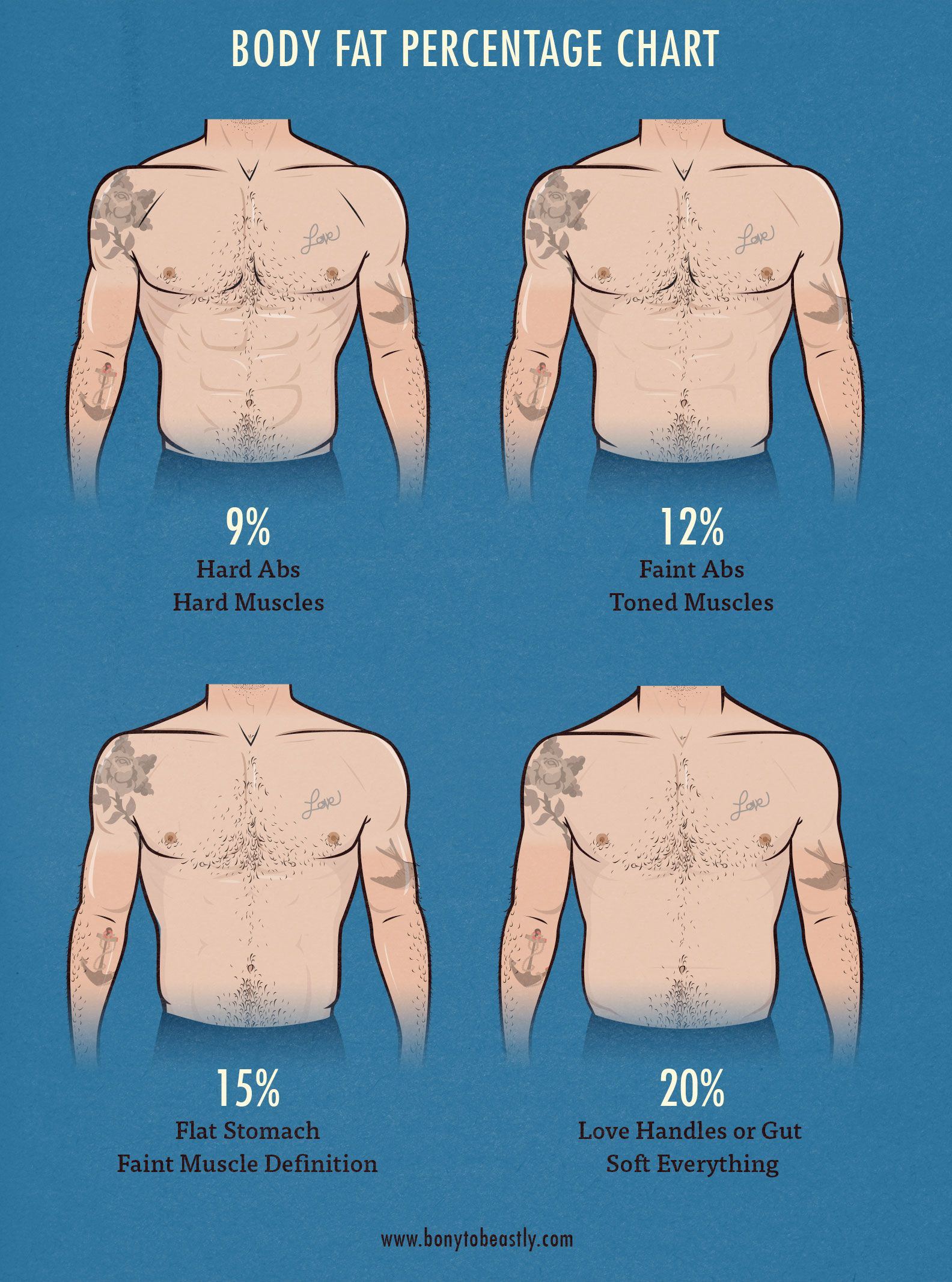 Body fat percent chart