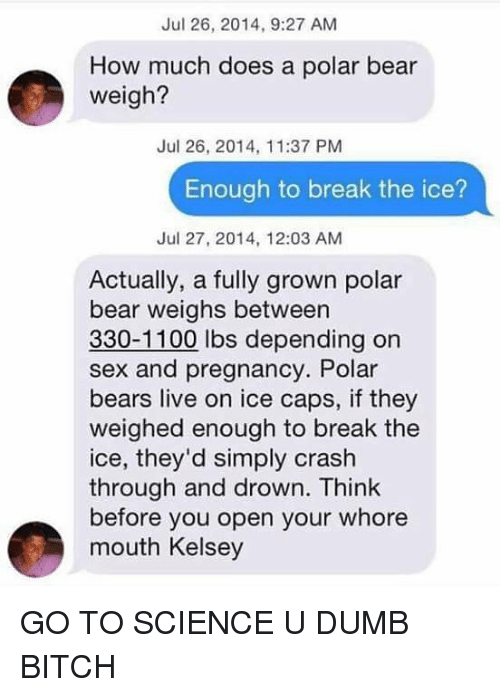 Superwoman recommend best of How much does a polar bear weigh