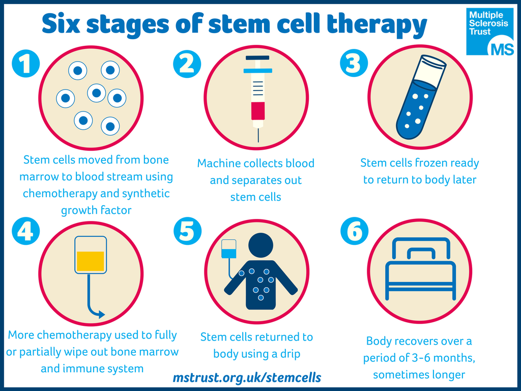 Slap H. reccomend Adult stem cell multiple sclerosis
