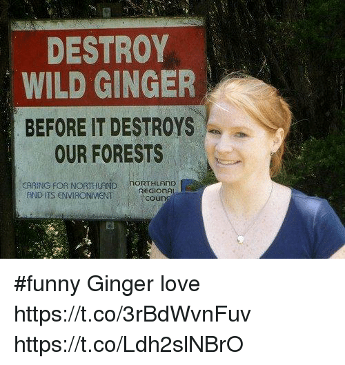 Funny ginger memes