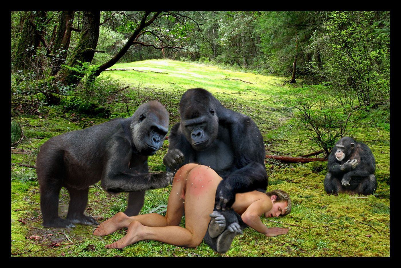 girl sucking gorilla dick porn photo
