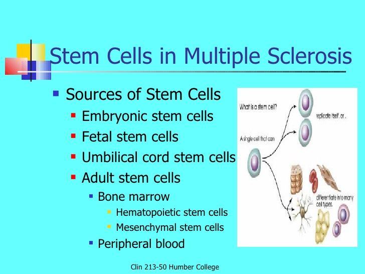 Jet S. reccomend Adult stem cell multiple sclerosis