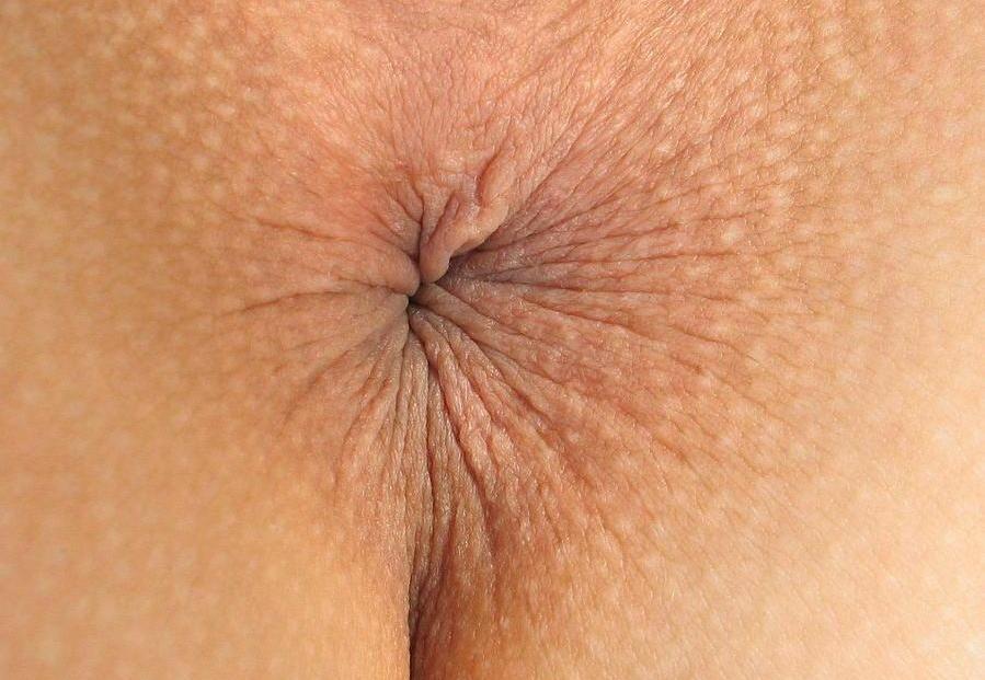 Close Up Butt Hole