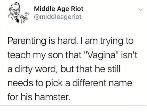 best of Vagina for Different name