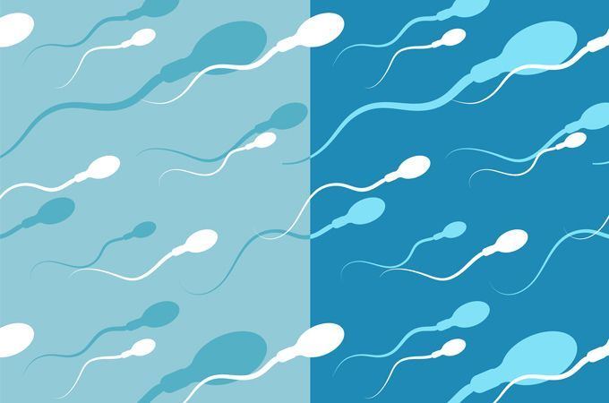 best of See a How sperm you can