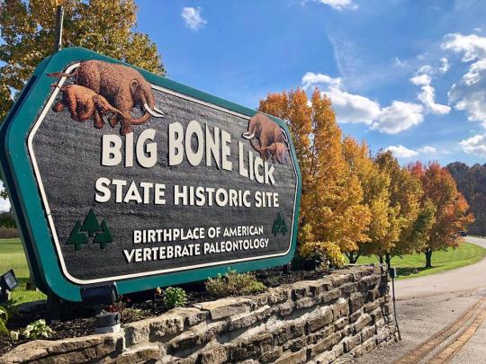 Mad M. recommend best of state Big park lick boone
