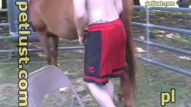Boy fucking mare