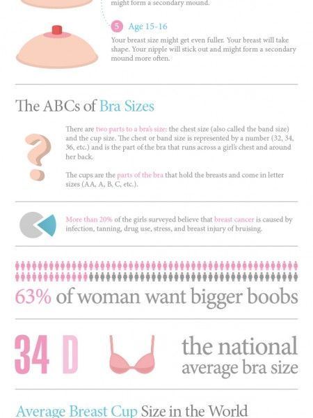 Bra sizes with boob pics