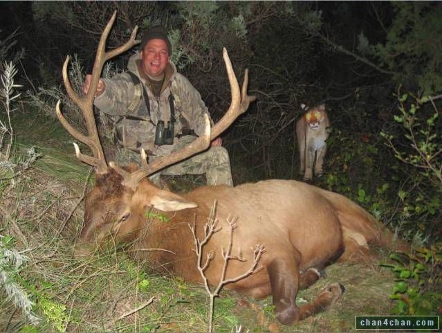 best of Cock dick Deer hunting
