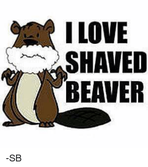 Shaved beaver fur - XXX photo