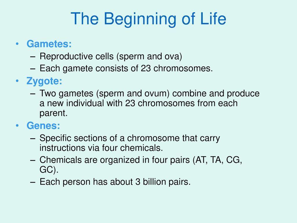 Sling reccomend Cell life span sperm